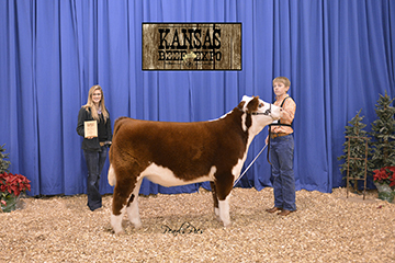 Frenzen Steer